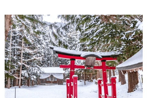 Depuis Tokyo et Nagano : Visite privée de luxe d&#039;une journée pour le singe des neiges