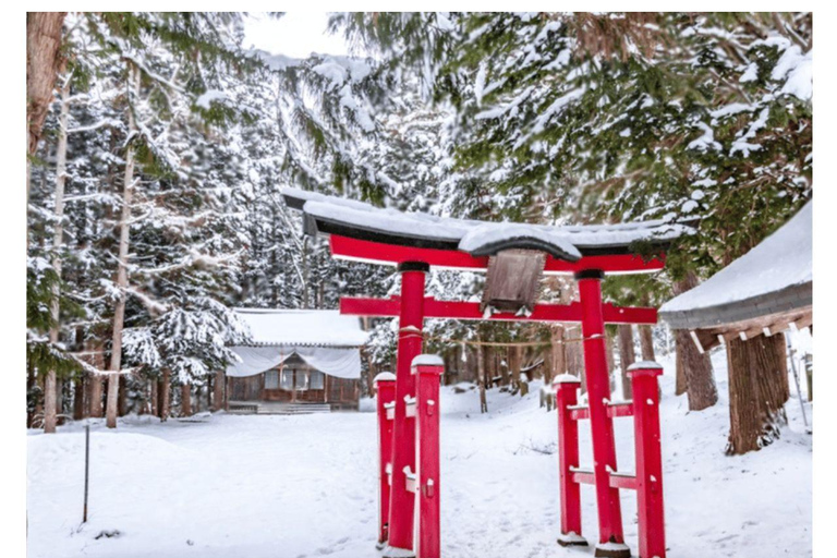 Depuis Tokyo et Nagano : Visite privée de luxe d&#039;une journée pour le singe des neiges