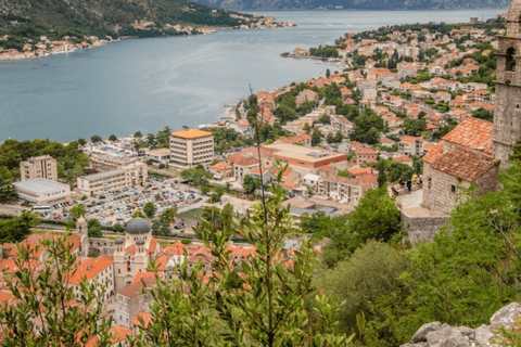 Depuis Tirana : Excursion d&#039;une journée au Monténégro, à Budva et à Kotor