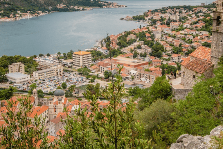 De Durres Golem: Viagem de 1 dia a Budva e Kotor, no Montenegro