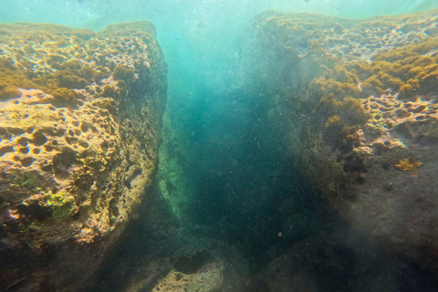 Vila Franca Islet: Snorkeling Inside the Crater
