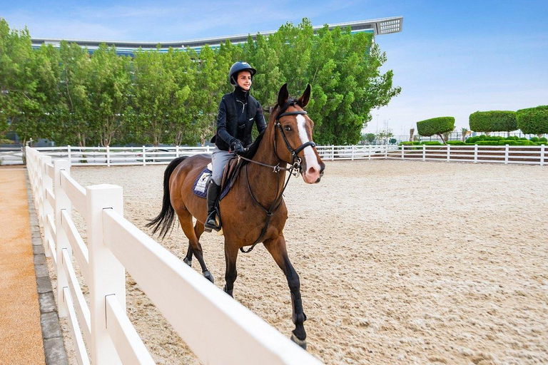 Abu Dhabi: Al Forsan Horse Ride Experience