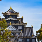 From Uno Port: Okayama Castle & Korakuen Garden Tour From Uno Port: Okayama Castle & Korakuen Garden Tour