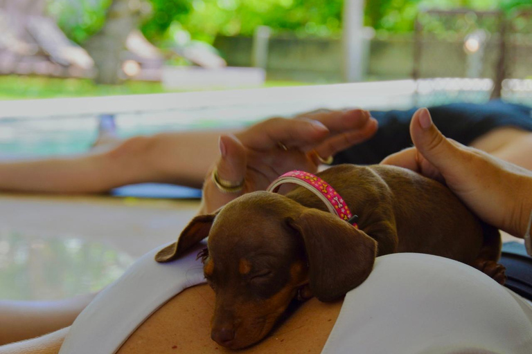 Bali: Corso di yoga per cuccioli a Canggu con bevande rinfrescanti