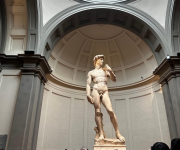 Firenca: Prioritetna ulaznica za galeriju Accademia