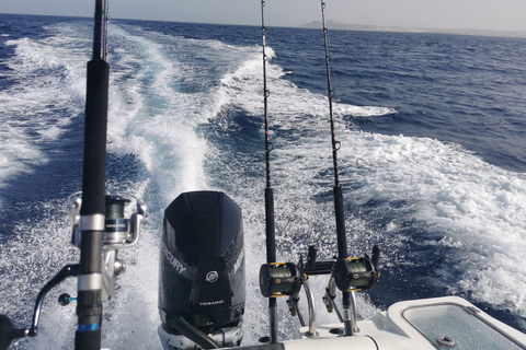 Prywatny czarter – połów ryb głębinowych w Boa Vista4 godziny wędkowania na głębokim morzu