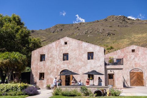 Queenstown: Excursión Premium de Cata de Vinos