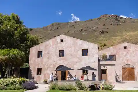 Queenstown: Premium Wine Tasting Tour