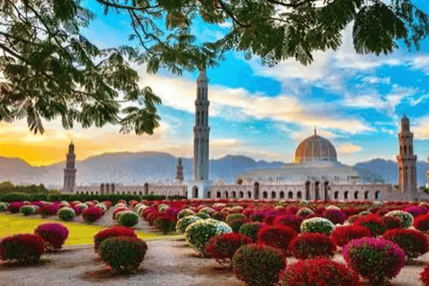 Muscat: city tour with local guide and pick up Evening city tour