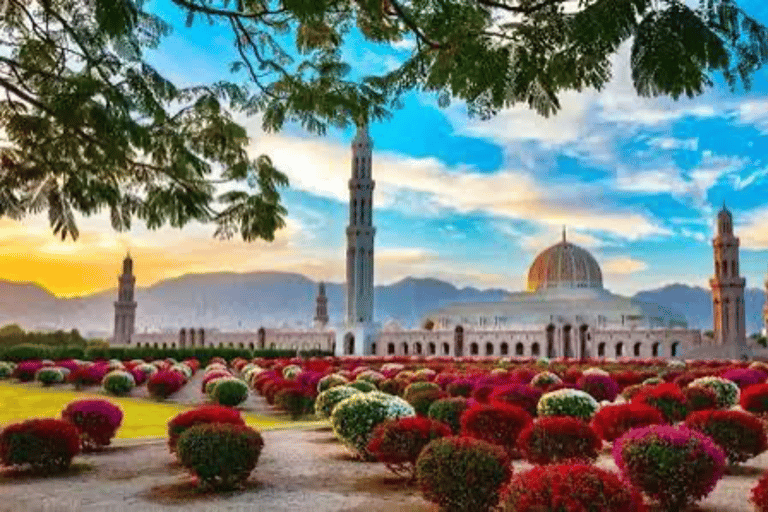 Muscat: city tour with local guide and pick up Evening city tour