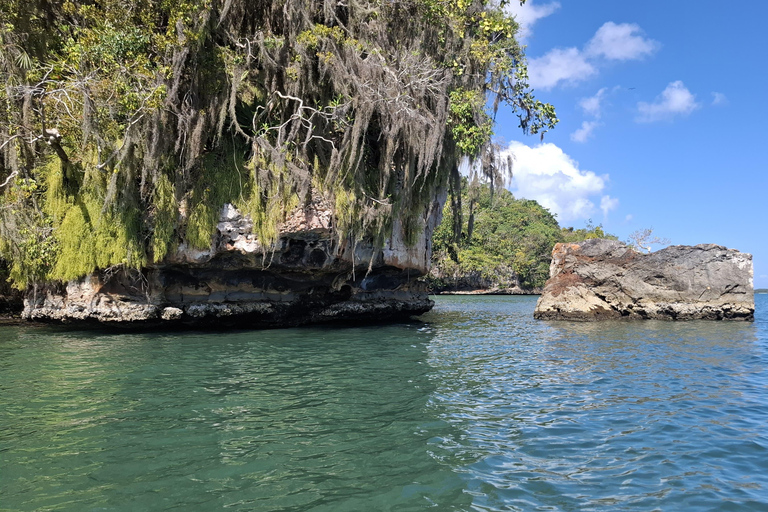 From Punta Cana: Los Haitises Tour: Mangroves, Caves + Round Mountain