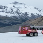 Calgary/Banff: Tour in die Banff Rockies mit Seen und Eisfeld