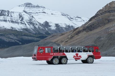 Calgary/Banff : Columbia Icefield, Skywalk, Crowfoot & lakes