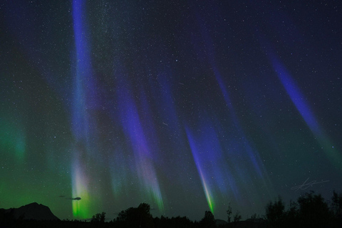 Tromsø: Northern Lights Tour with Free Professional Photos