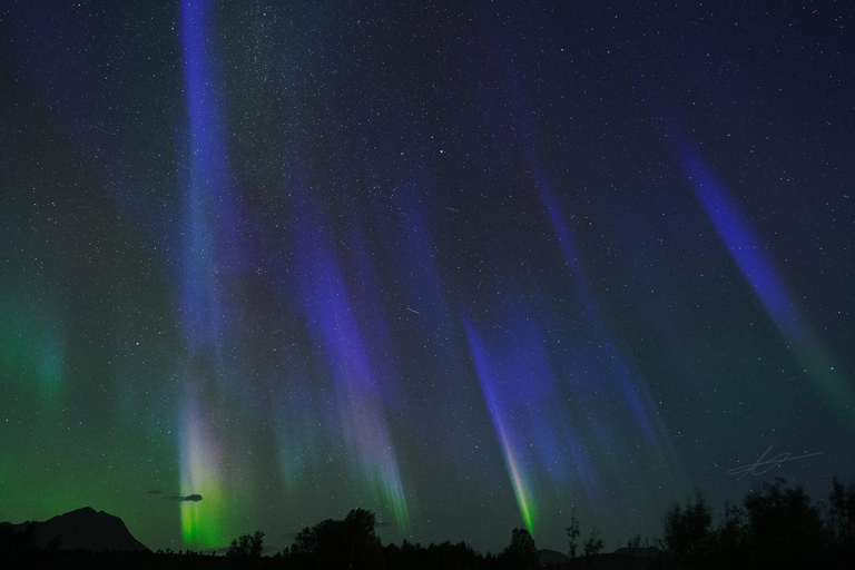 Tromsø: Northern Lights Tour with Free Professional Photos