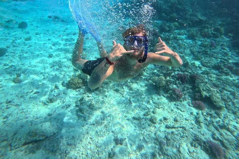 Hurghada: 4-Hour Dolphin Speedboat & Sea Scooter Snorkeling