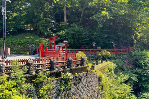 Tokio: Nikko Tour Privado de un Día