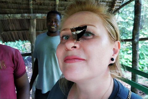 Zanzibar: Floresta Jozani, Borboletas, Caverna Kuza e Praia PajeTour particular sem serviço de busca no hotel e traslado de ida e volta incluídos