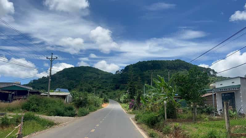 Galería de fotos para redes