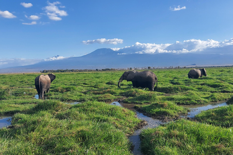3-day Amboseli & SaltLick Safar: Kilimanjaro View & Treetop