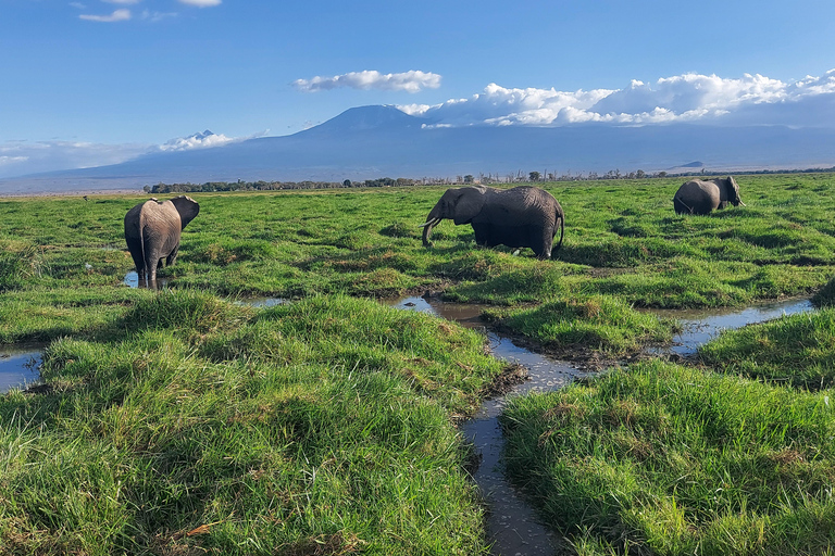 3-day Amboseli & SaltLick Safar: Kilimanjaro View & Treetop