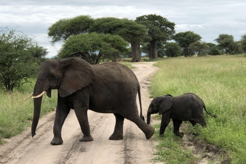 Safari de 7 días por lo más destacado de Tanzania