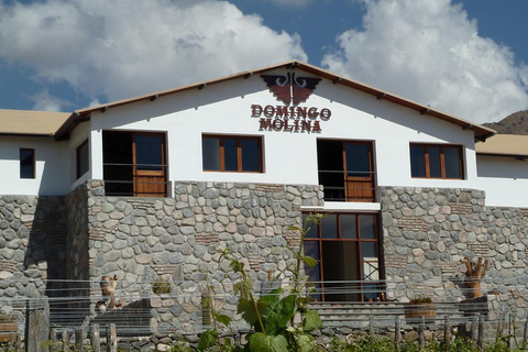 Salta: 2 Wineries and Cheese Factory Tour with Tastings