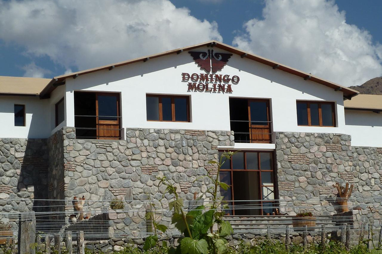 Salta: 2 Wineries and Cheese Factory Tour with Tastings