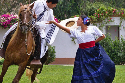 Trujillo : cultures Chimu et Moche + spectacle Marinera