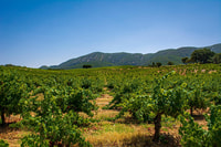 Private Full Day Tour Setubal - Hizvo