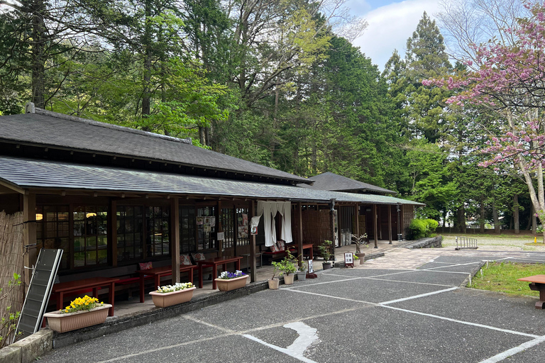 Tokyo to Nikko World Heritage Day Tour with English Guide