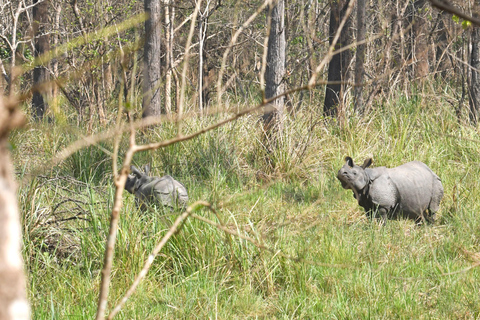 Chitwan National Park: Tower Night Stay from Kathmandu