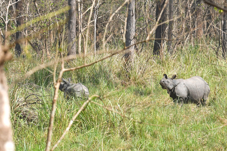 Chitwan National Park: Tower Night Stay from Kathmandu