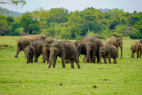 All Inclusive Hurulu Eco Park Morning & Evening Safari Hurulu Eco Park Private Safari ( Without Tickets )