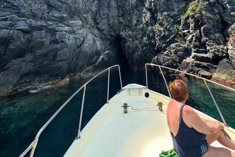 Scilla in Barca-Costa Viola tour: Caves-Cala Janculla