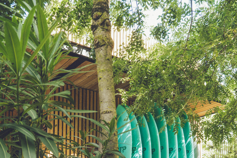 Sopelana: Surfing Lesson for All Levels with Instructor