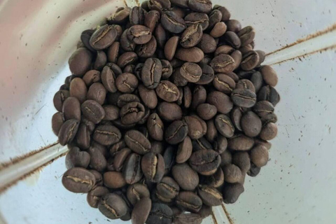 Visit an artisanal cocoa and coffee factory in Santa Marta