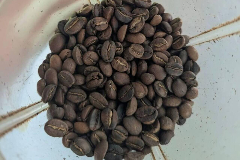 Visit an artisanal cocoa and coffee factory in Santa Marta