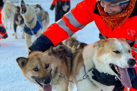 Island-Husky-Tour – Fahrt- und Kuschel-ErlebnisIsland: Husky-Schlittenfahrt und Kuschelerlebnis