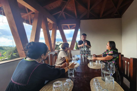 Mezcal and Traditions Route: Tree of Tule, Teotitlan Village, and Distillery Mezcal and Its Traditions Tour: Tree of Tule, Teotitlán, and Distillery