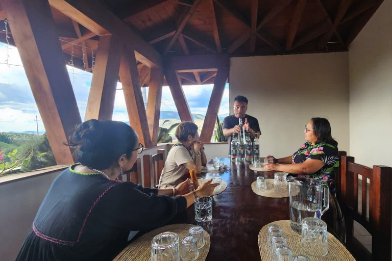 Mezcal and Traditions Route: Tree of Tule, Teotitlan Village, and Distillery Mezcal and Its Traditions Tour: Tree of Tule, Teotitlán, and Distillery