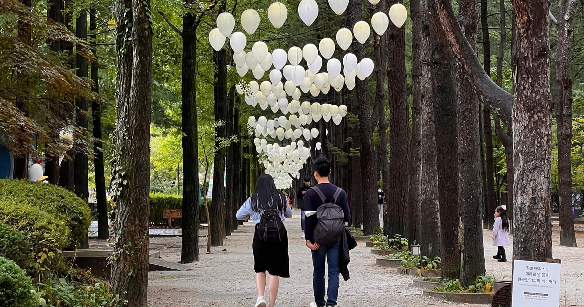 Seoul Namiseom, Petite France, & Garten der GetYourGuide