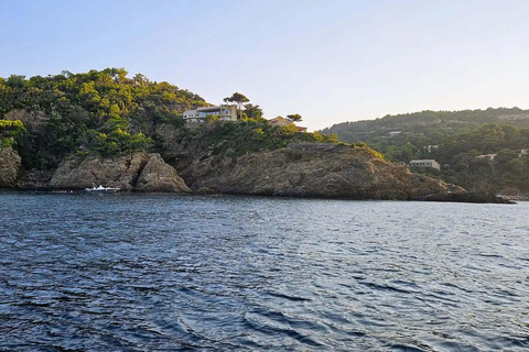 Tasting cruise in the bay of Bormes les Mimosas on a hybrid boat