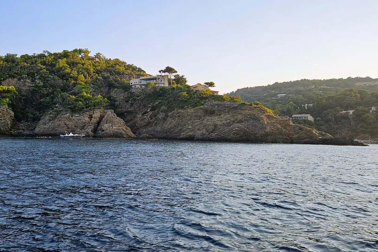 Tasting cruise in the bay of Bormes les Mimosas on a hybrid boat