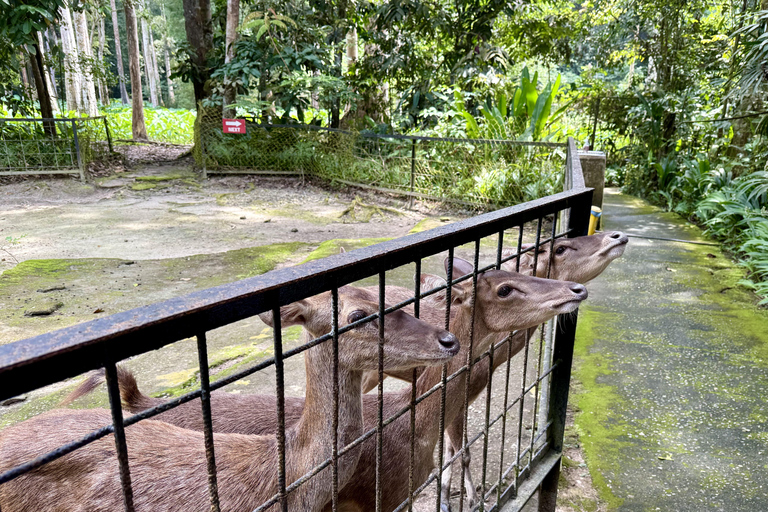 From Kuala Lumpur: Kuala Gandah Elephant Sanctuary Day Trip Shared Tour at Meeting Point Options