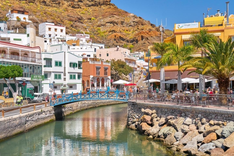 Gran Canaria : Delfinbootsausflug und Markt freitagsGran Canaria : Delphinausflug und Markt am Freitag
