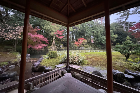 Kanazawa: Half-Day Private Tour - Garden, Castle, Geisha