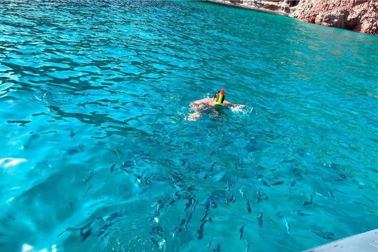 Cargèse: Capo Rosso "Snorkeling" and Sea Cave Tour Cargèse: Capo Rosso ramble with fins, mask and snorkel
