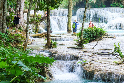 Luang Prabang: Cruise to Pak Ou Caves & Kuang Si Waterfalls
