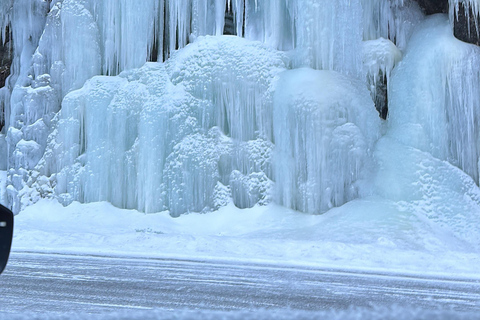 Narvik/Harstad : Excursion d&#039;une journée dans les Fjords avec arrêt à la ferme des rennes